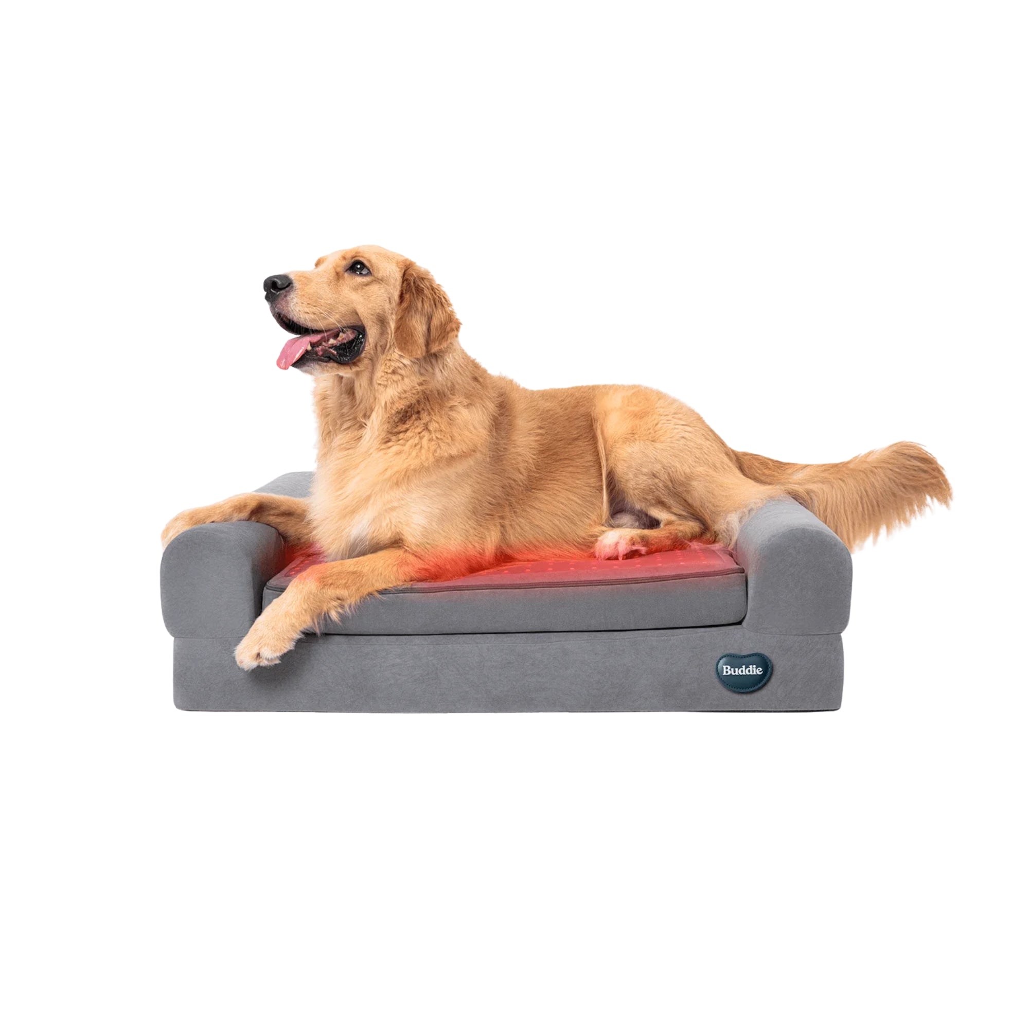 Beddie™ Pet Therapy Bed