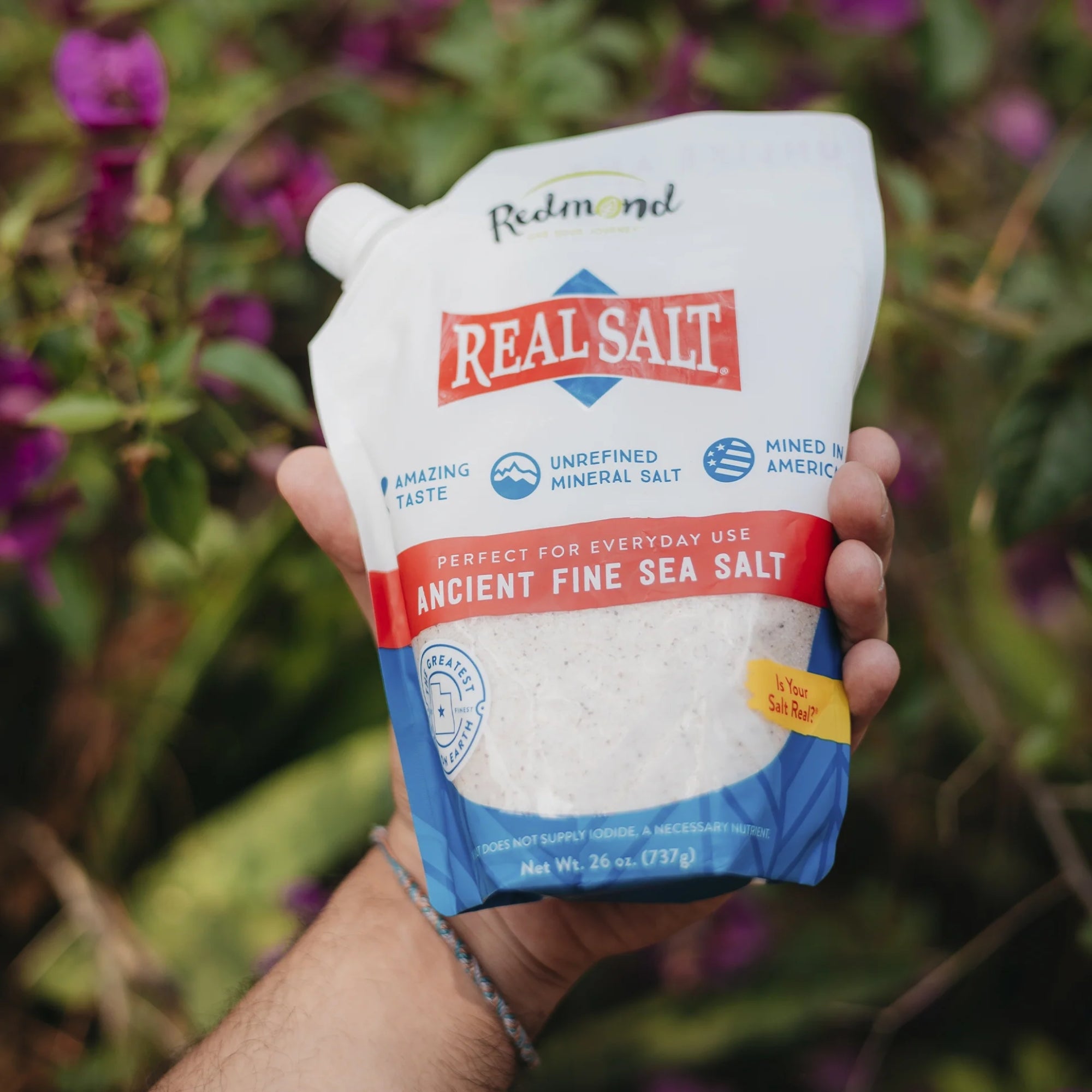 Redmond, Real Salt®, Ancient Fine Sea Salt, 26 oz (737 g)