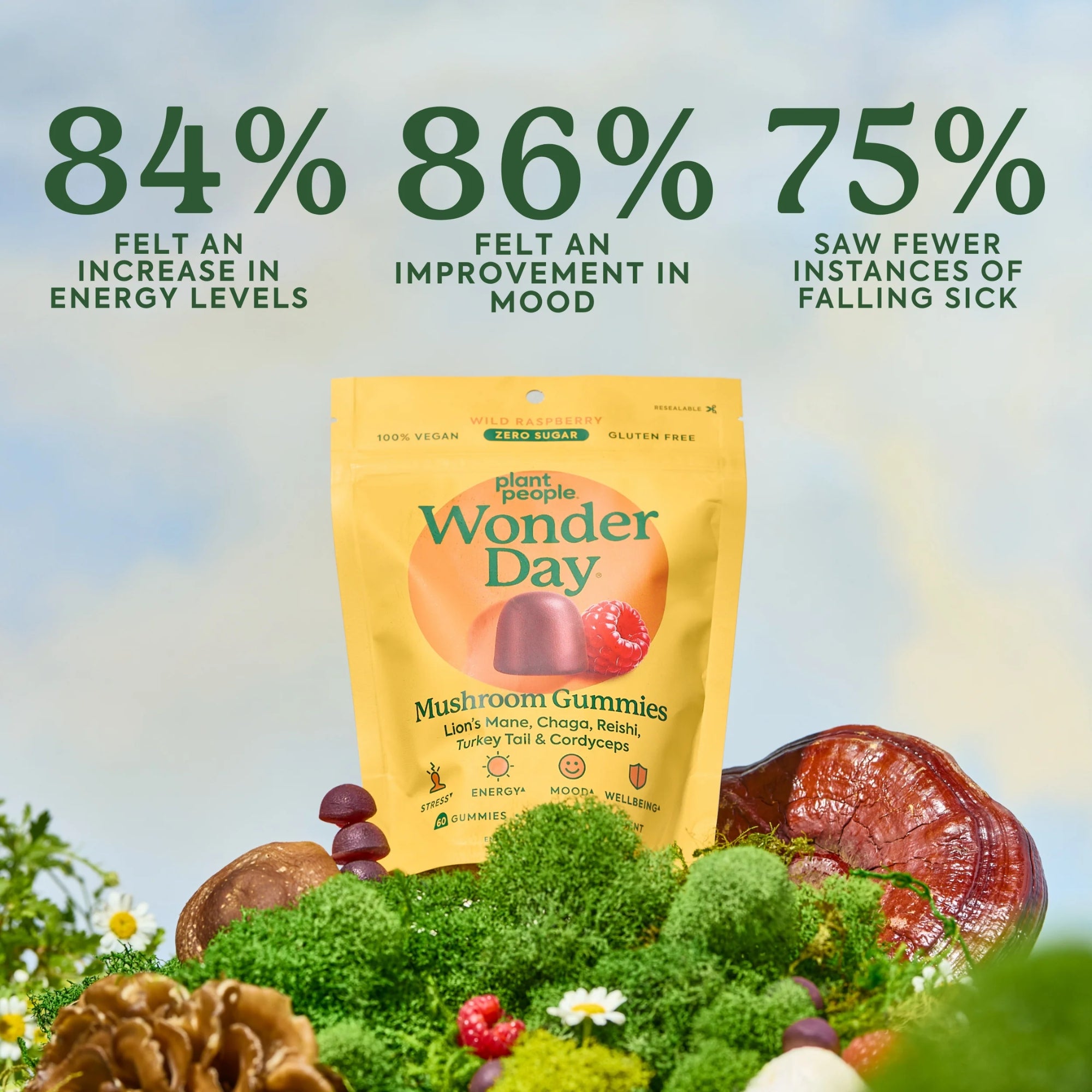 WonderDay Mushroom Gummies Zero Sugar Mushroom Gummies - 60 Gummies