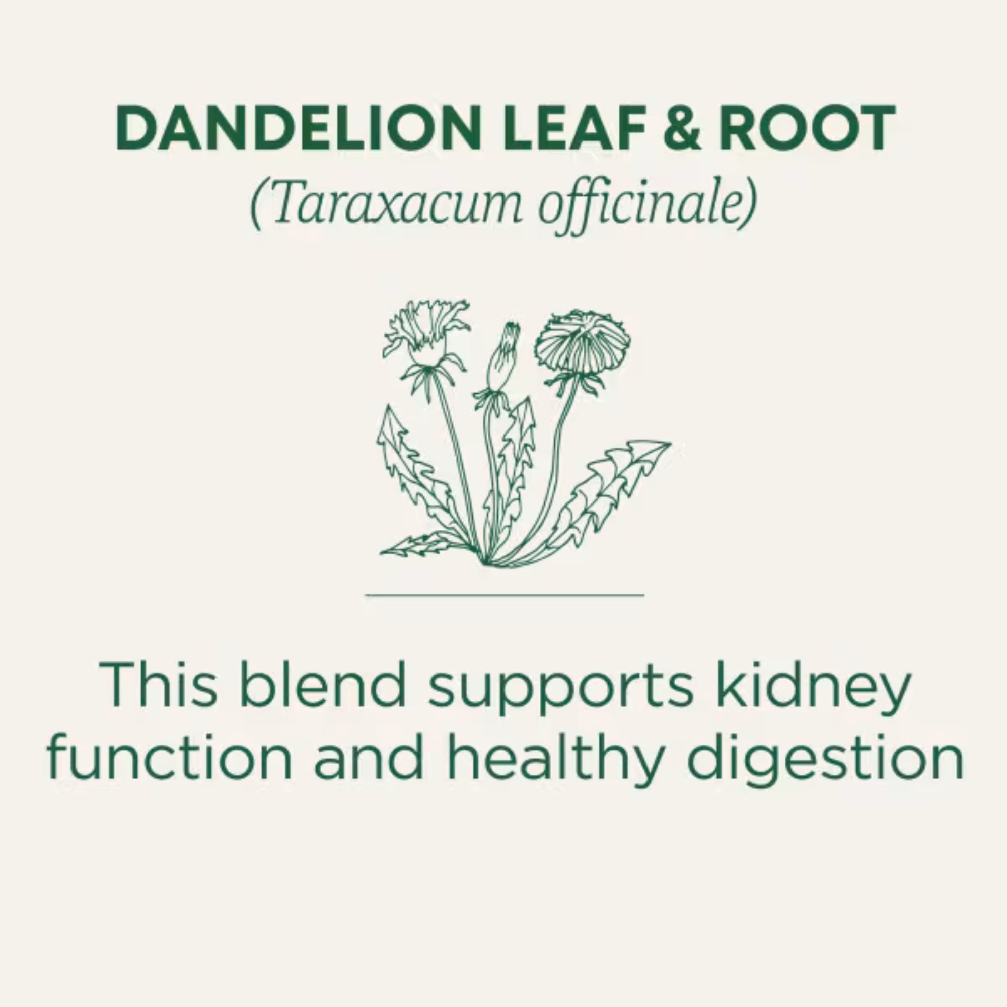 Traditional Medicinals, Organic Dandelion Leaf & Root Tea, Caffeine Free, 16 Wrapped Tea Bags, 0.99 oz (28 g)