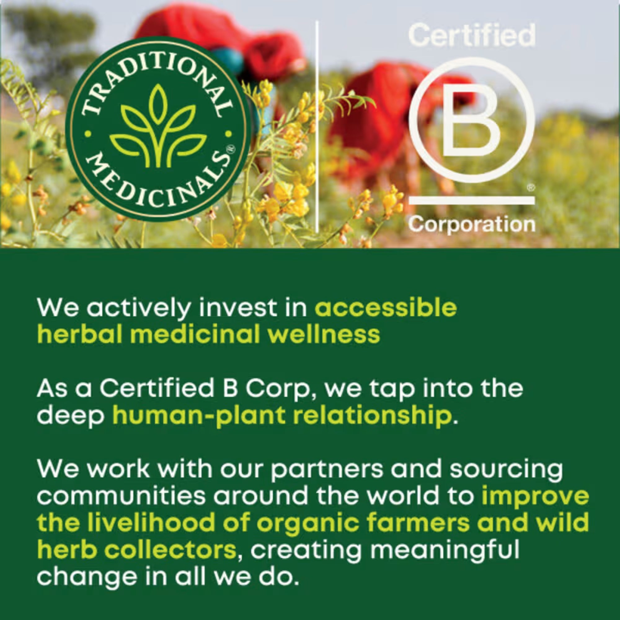 Traditional Medicinals, Organic Spearmint, Caffeine Free, 16 Wrapped Tea Bags, 0.85 oz (24 g)