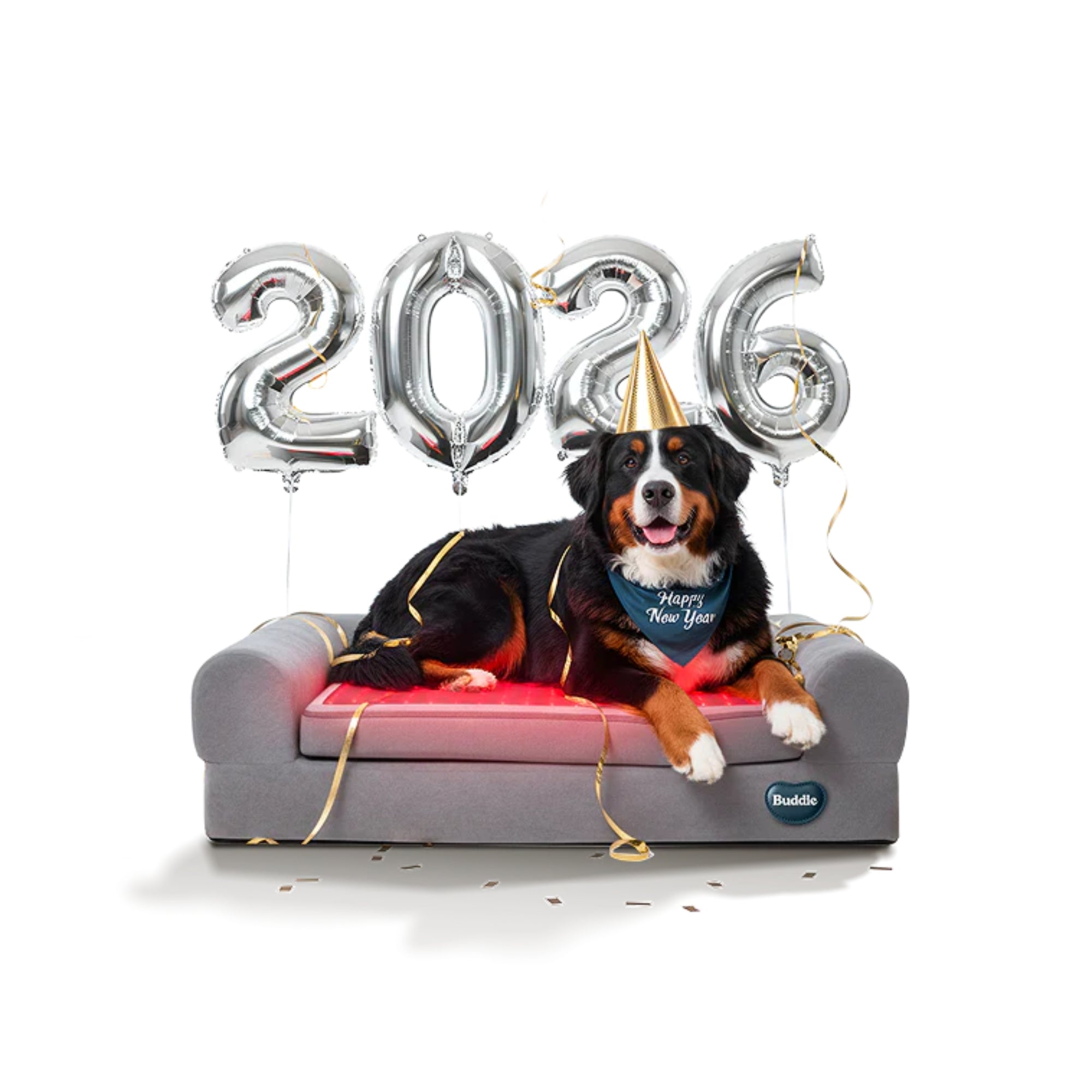 Beddie™ Pet Therapy Bed